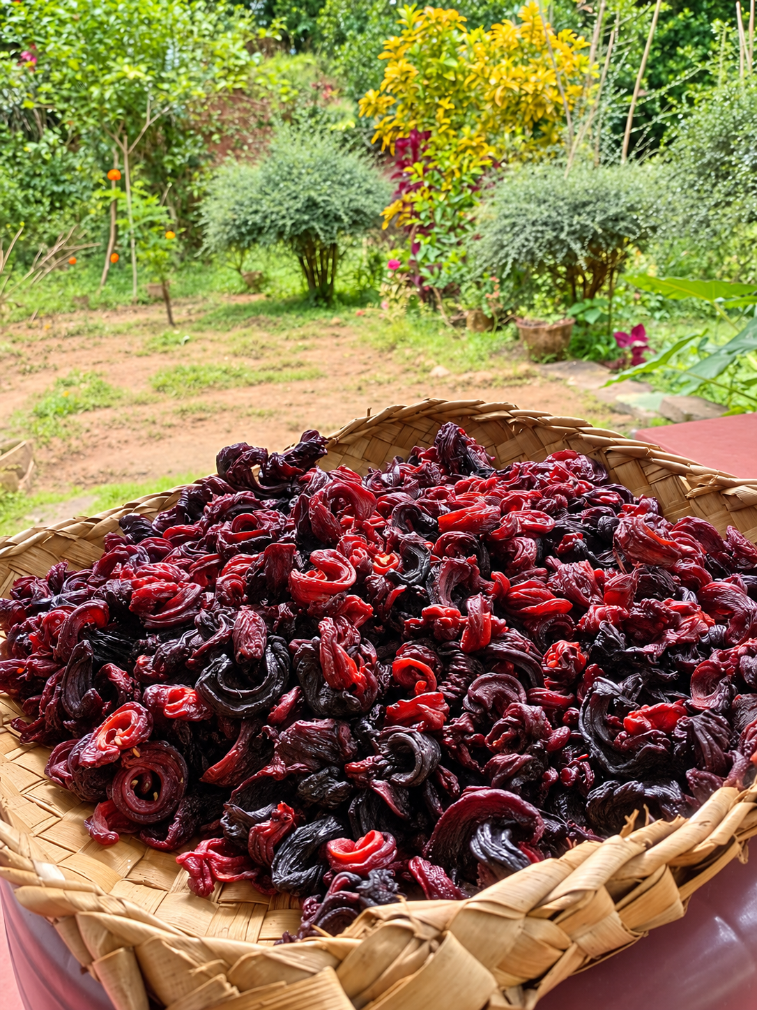 Ceylon Garcinia (Goraka) 100g – Sri Lankan Dried Goraka - Image 2